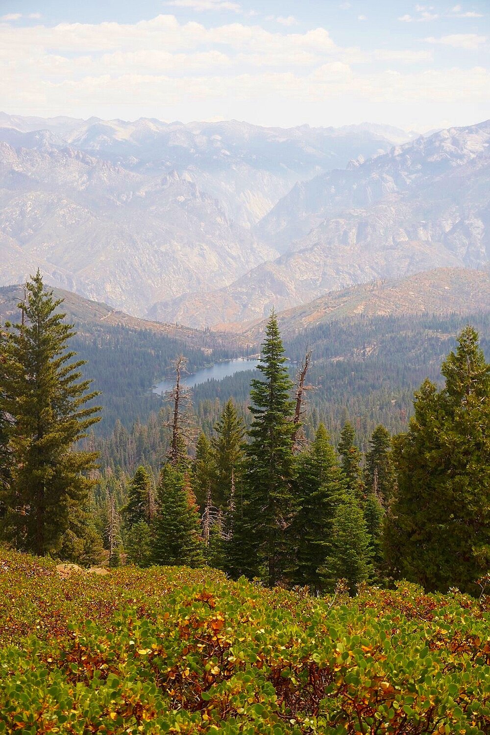 View from Panoramic Point trail - Kings Canyon National Park