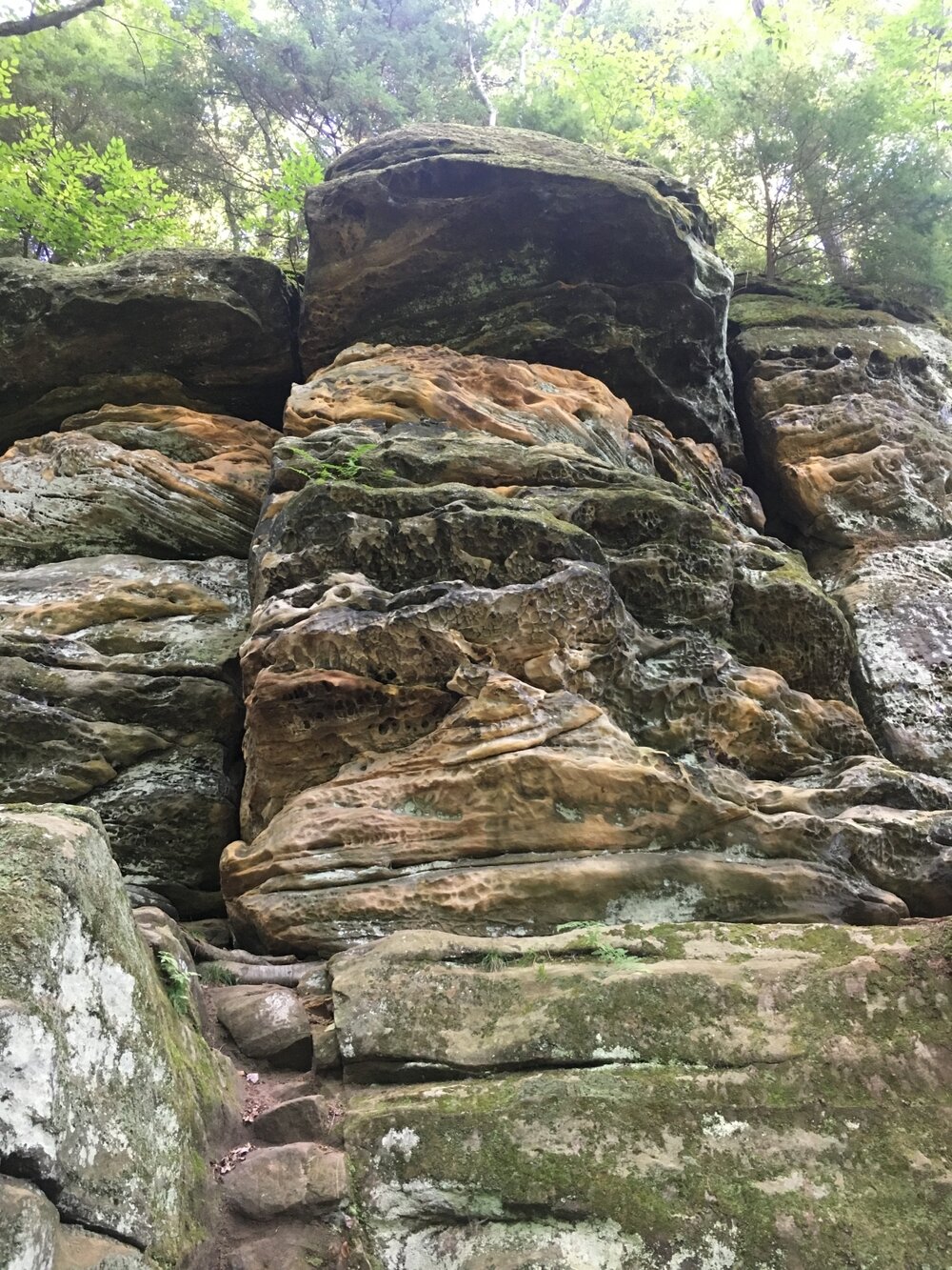 Ledges with moss - Ledges Trail - Cuyahoga National Park