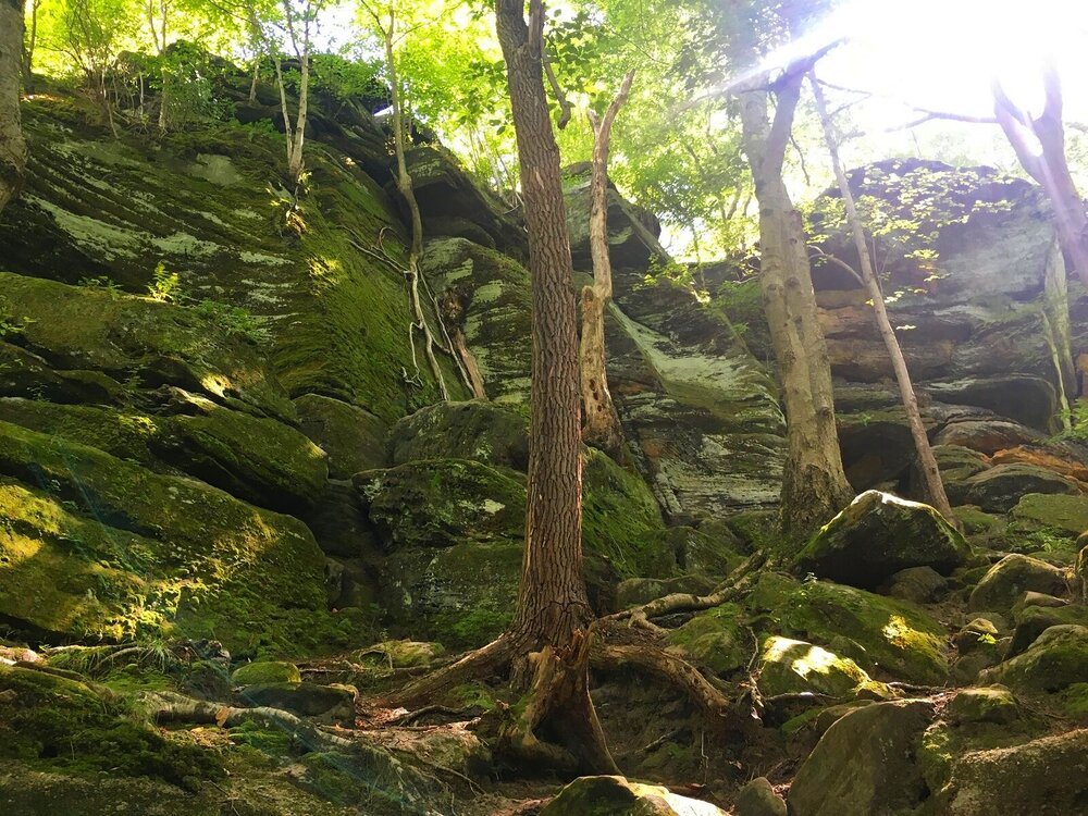 Ledges Trail - Cuyahoga National Park