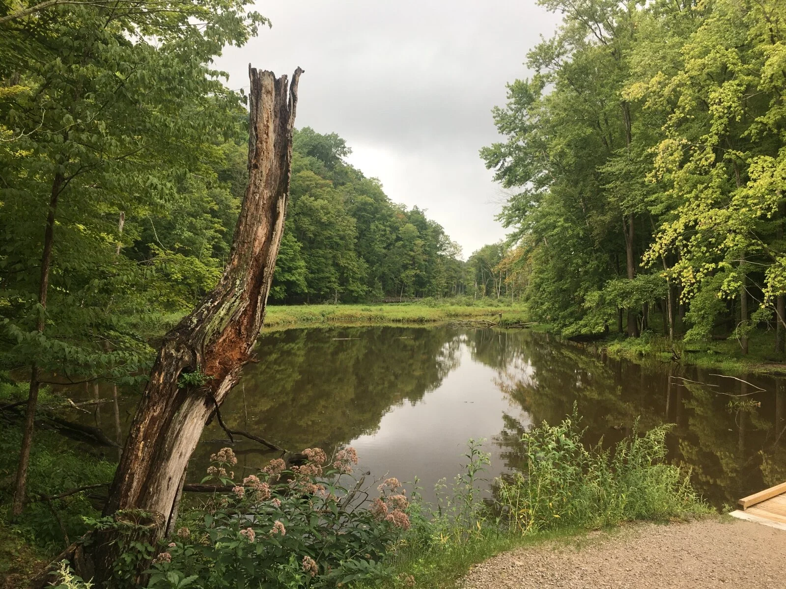 Rocky River - Rocky River Reservation hiking trail, Cleveland Metroparks