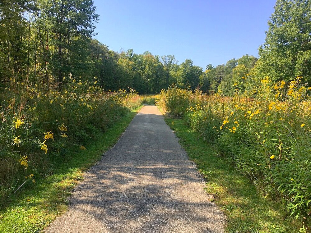 Walking path among wildflowers - Wildflower Loop, Brecksville Reservation, Cleveland Metroparks