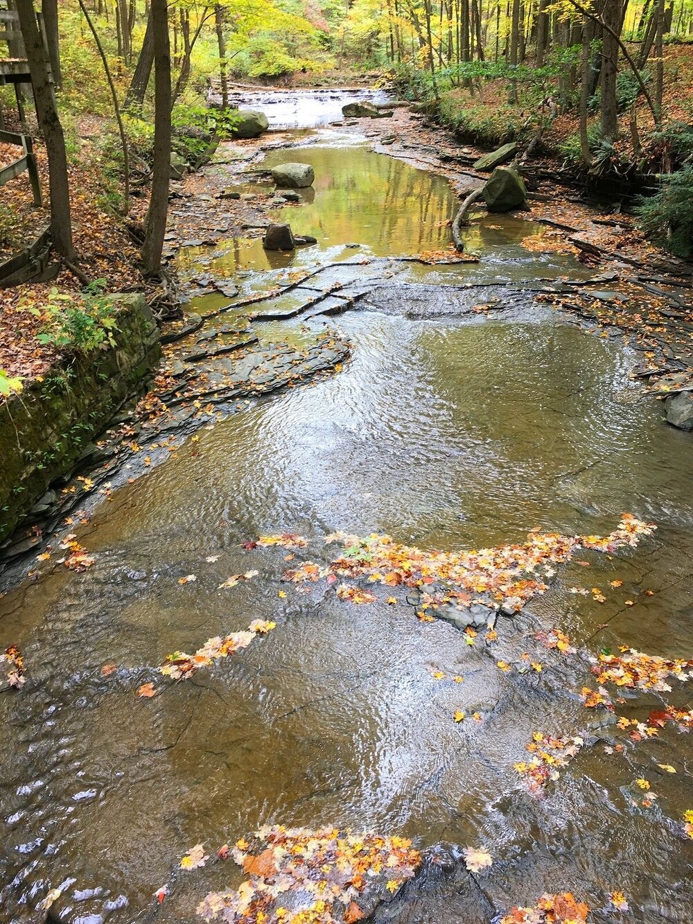 Tinker Creek near Bridal Veil Falls, Cleveland Metroparks hiking trail