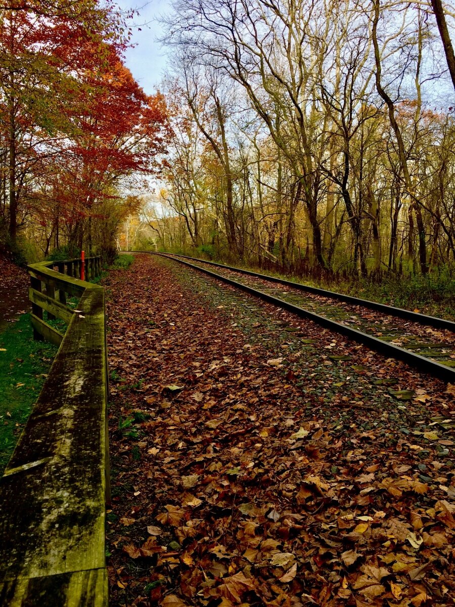 Cuyahoga Valley Scenic Railroad track around fall leaves - Cuyahoga Valley National Park Towpath hiking trail