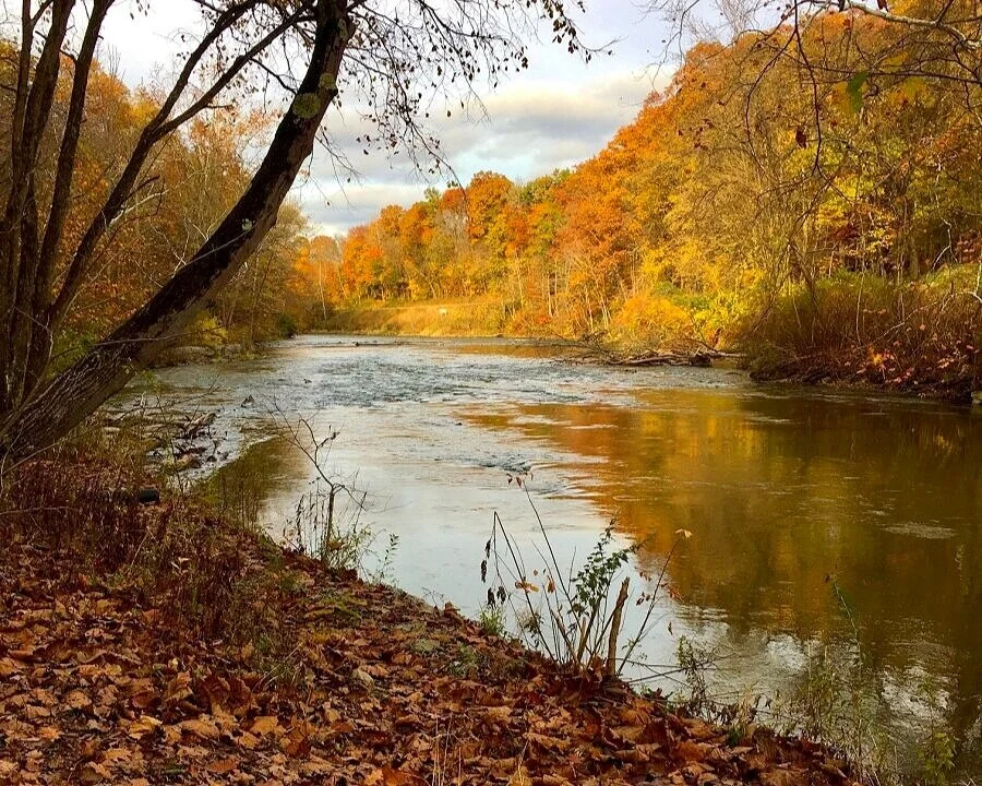 Cuyahoga River around orange fall leaves - Cuyahoga Valley National Park, Towpath hiking trail