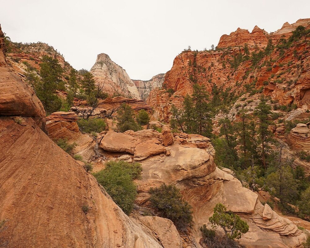 Zion National Park hiking through red rocks