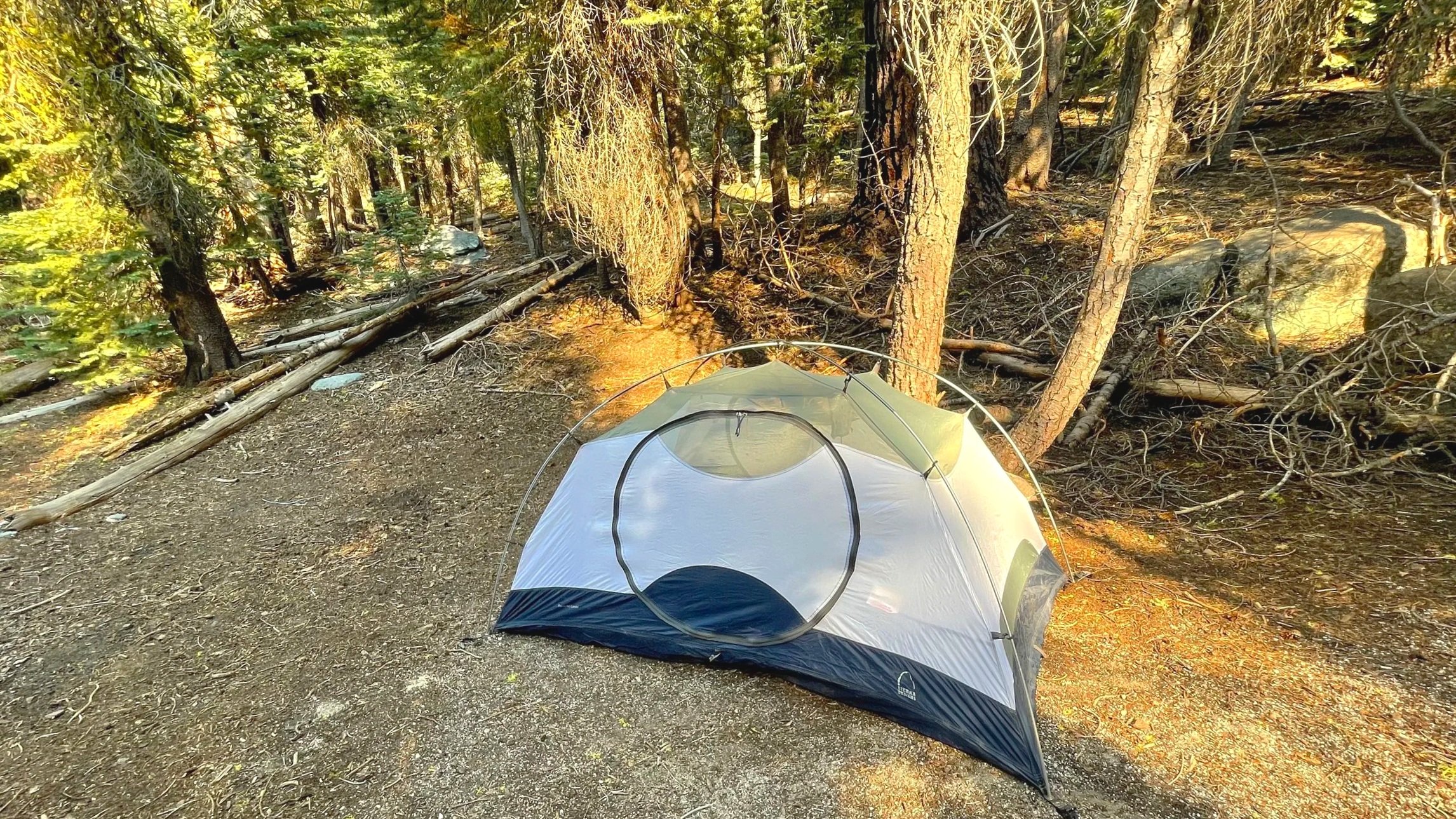 A tent is set up in a forest in Yosemite with a soft glow of the sun shining on it.