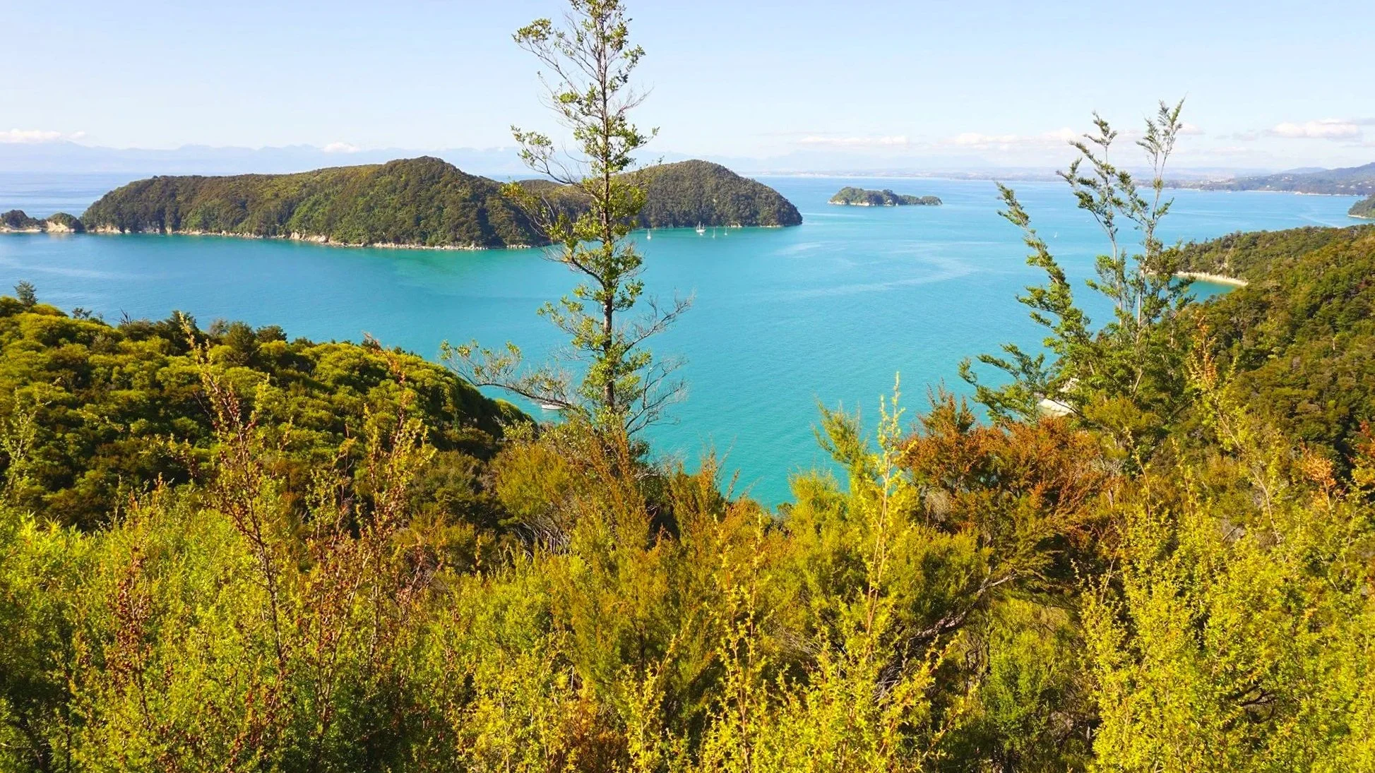 Views of the blue water from Abel Tasman trail in New Zealand's South Island.