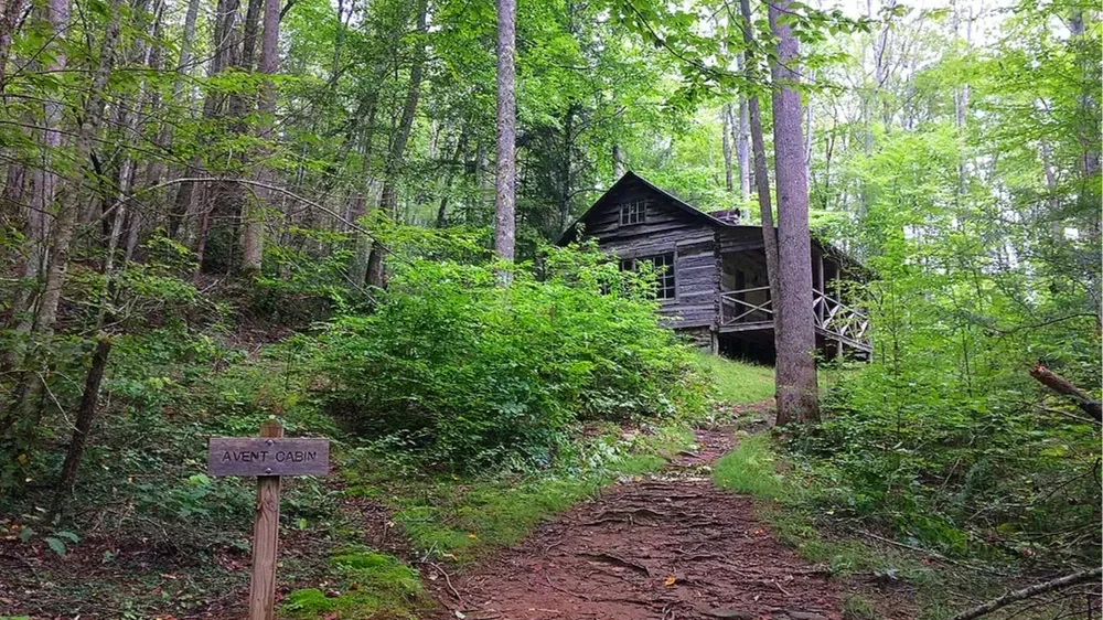 Avent Cabin hike in the Great Smoky Mountains