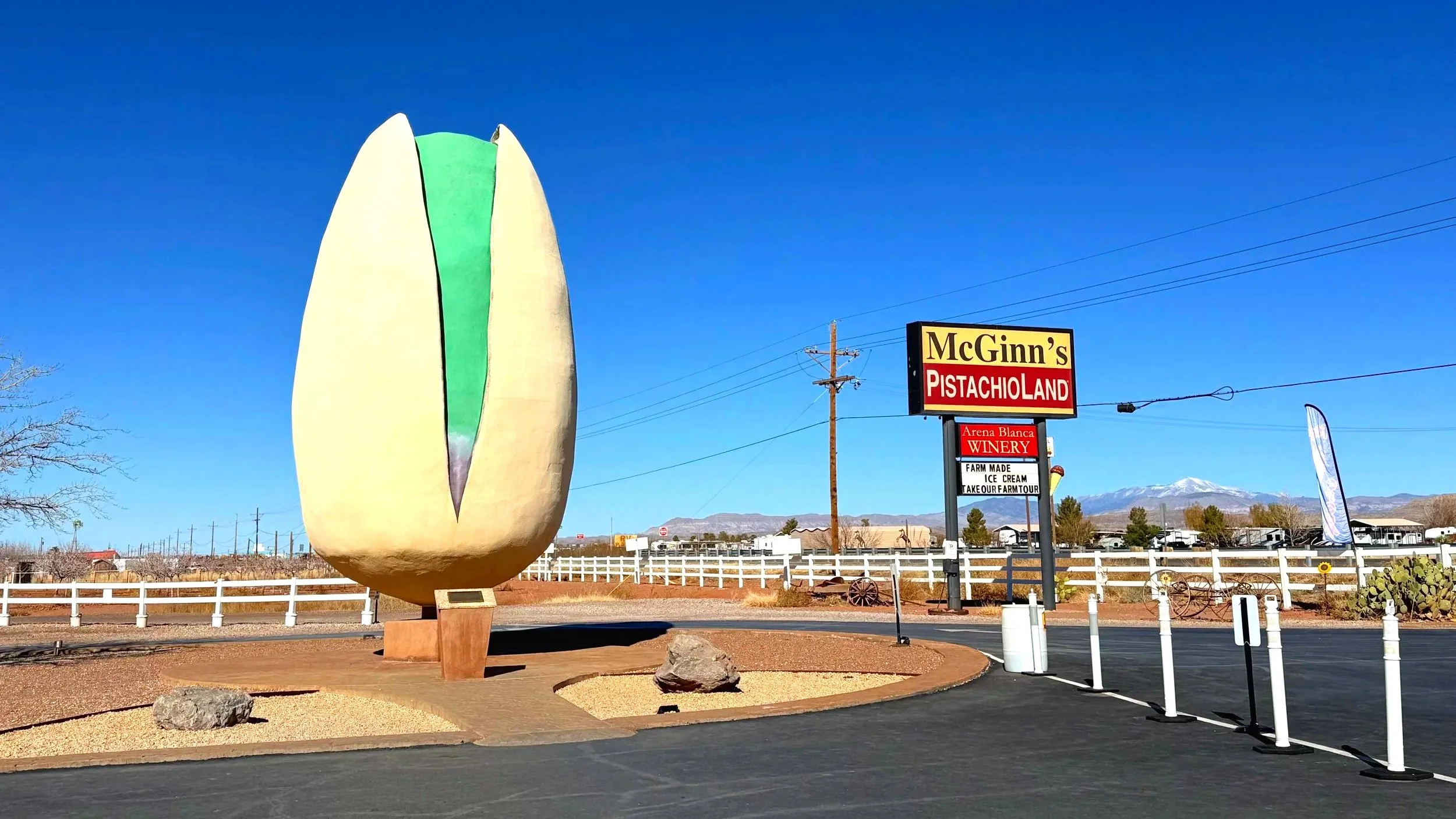 A giant pistachio statue stands in the middle of nowhere on a road trip in America.