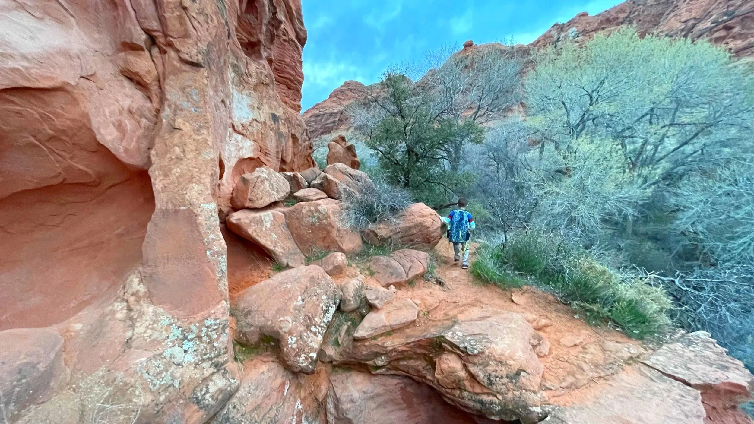 A kid hikes in a desert with a backpack