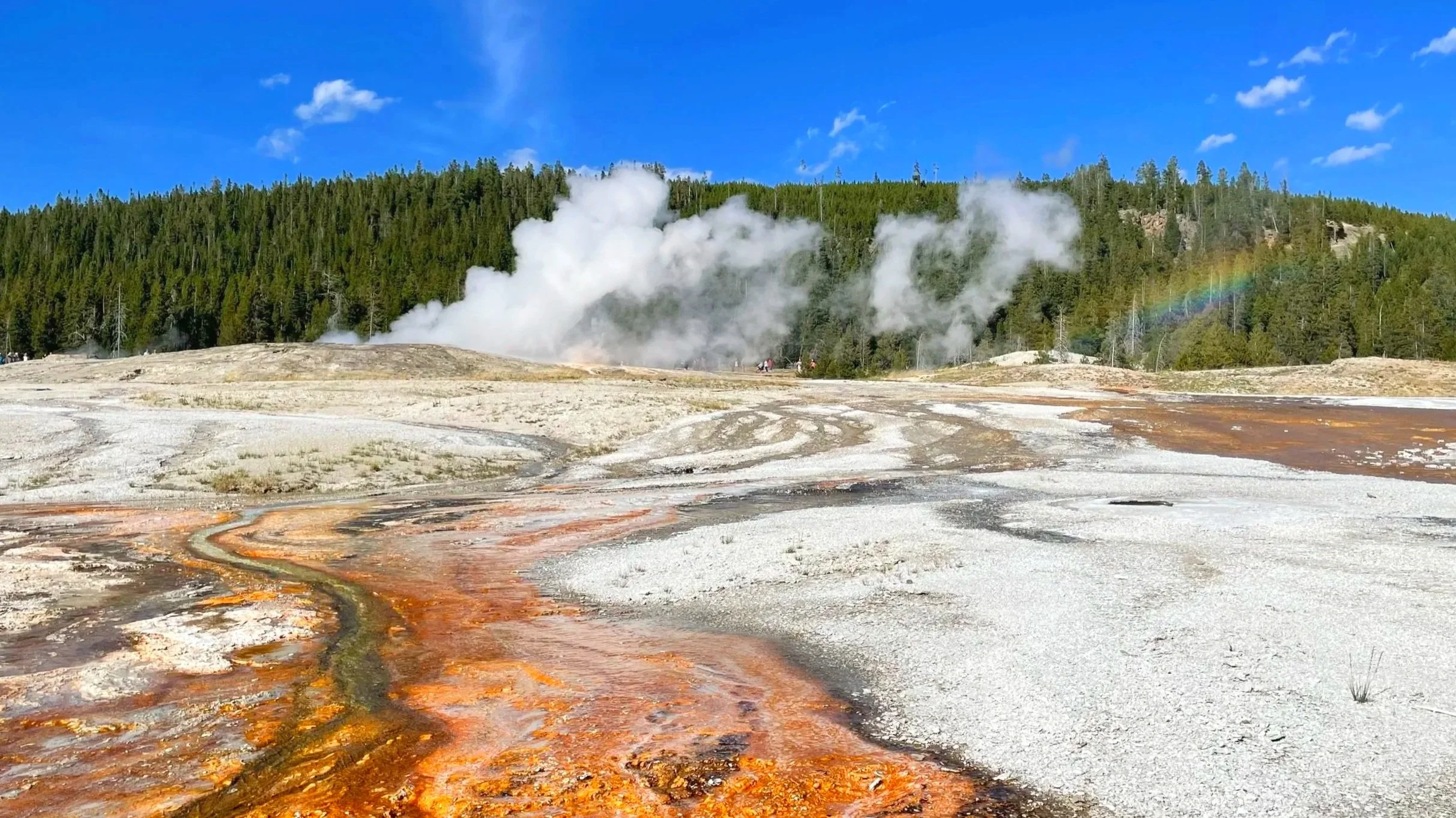 Bacteria runoff (Thermophiles) shown up close coming from a geyser in Yellowstone