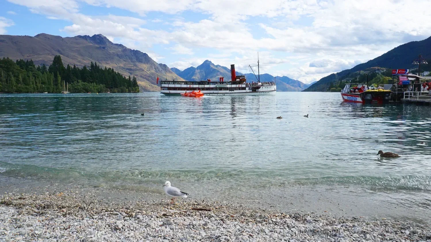 Lake Wakatipu in Queenstown, NZ has ships and birds.