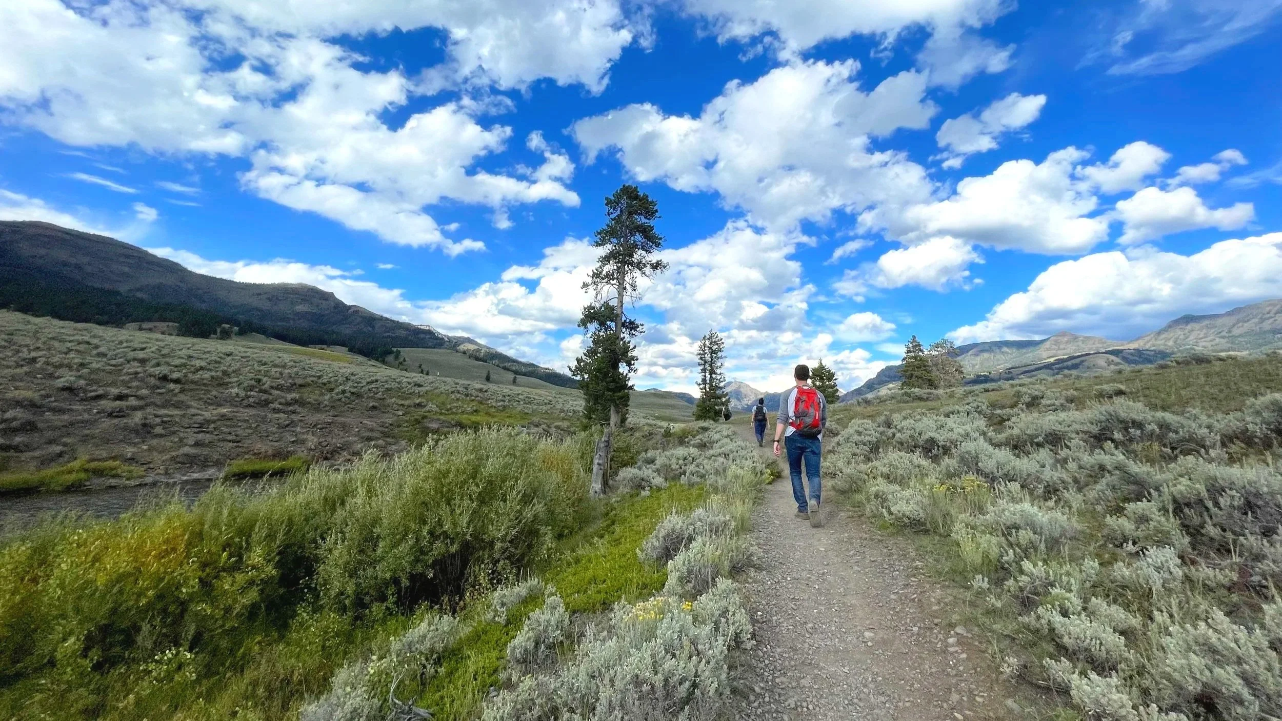 A group hikes along the scenic Lamar Valley in Yellowstone National Park