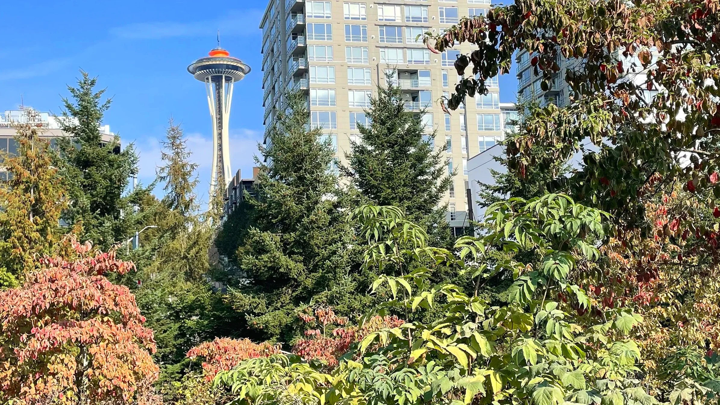 The Space Needle in Seattle is seen surrounded by greenery.