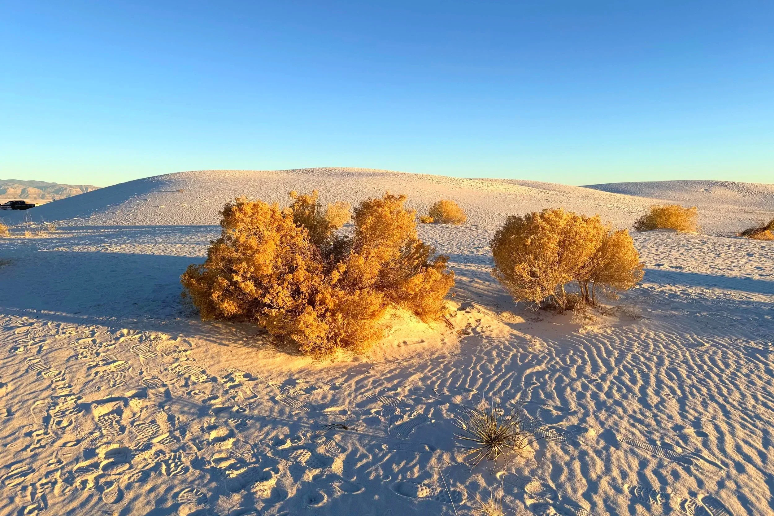 An area in White Sands has no marked trail.