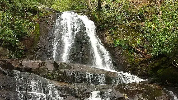 Laurel Falls in the Smoky Mountains