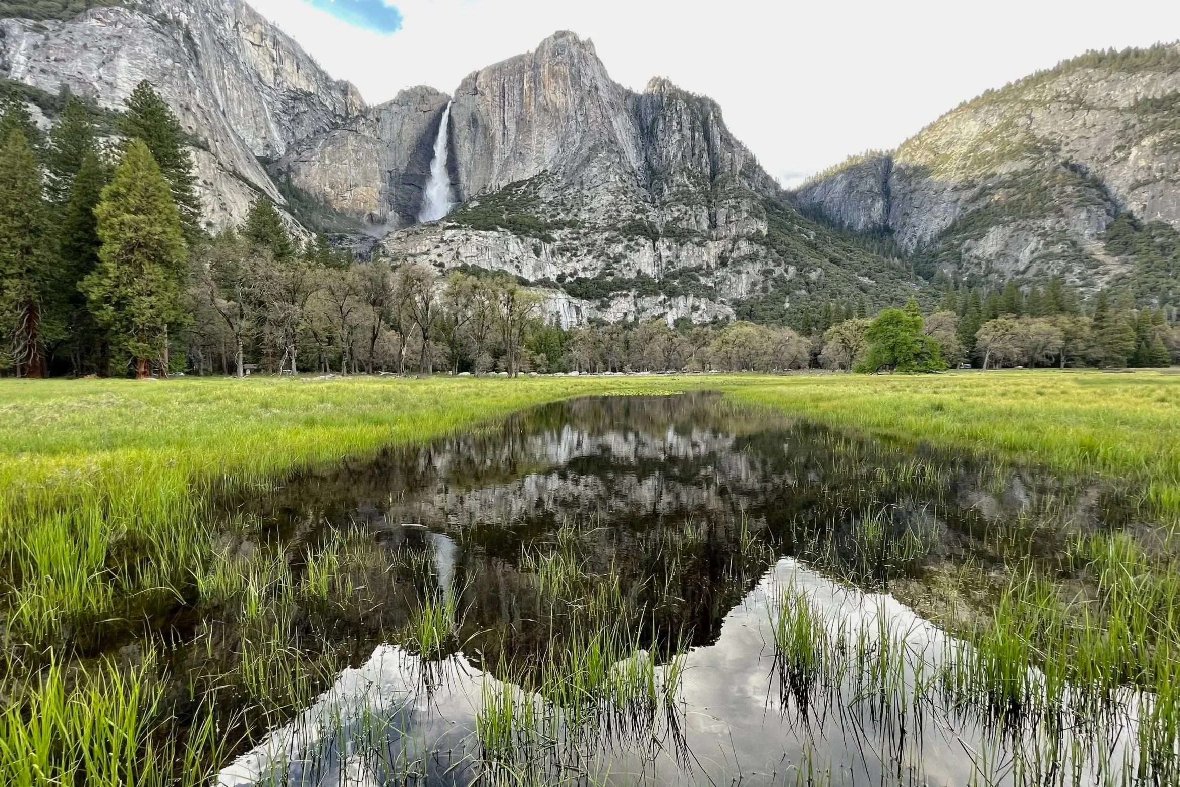 Yosemite Falls flows forcefully during spring where the meadows are green and filled with water.