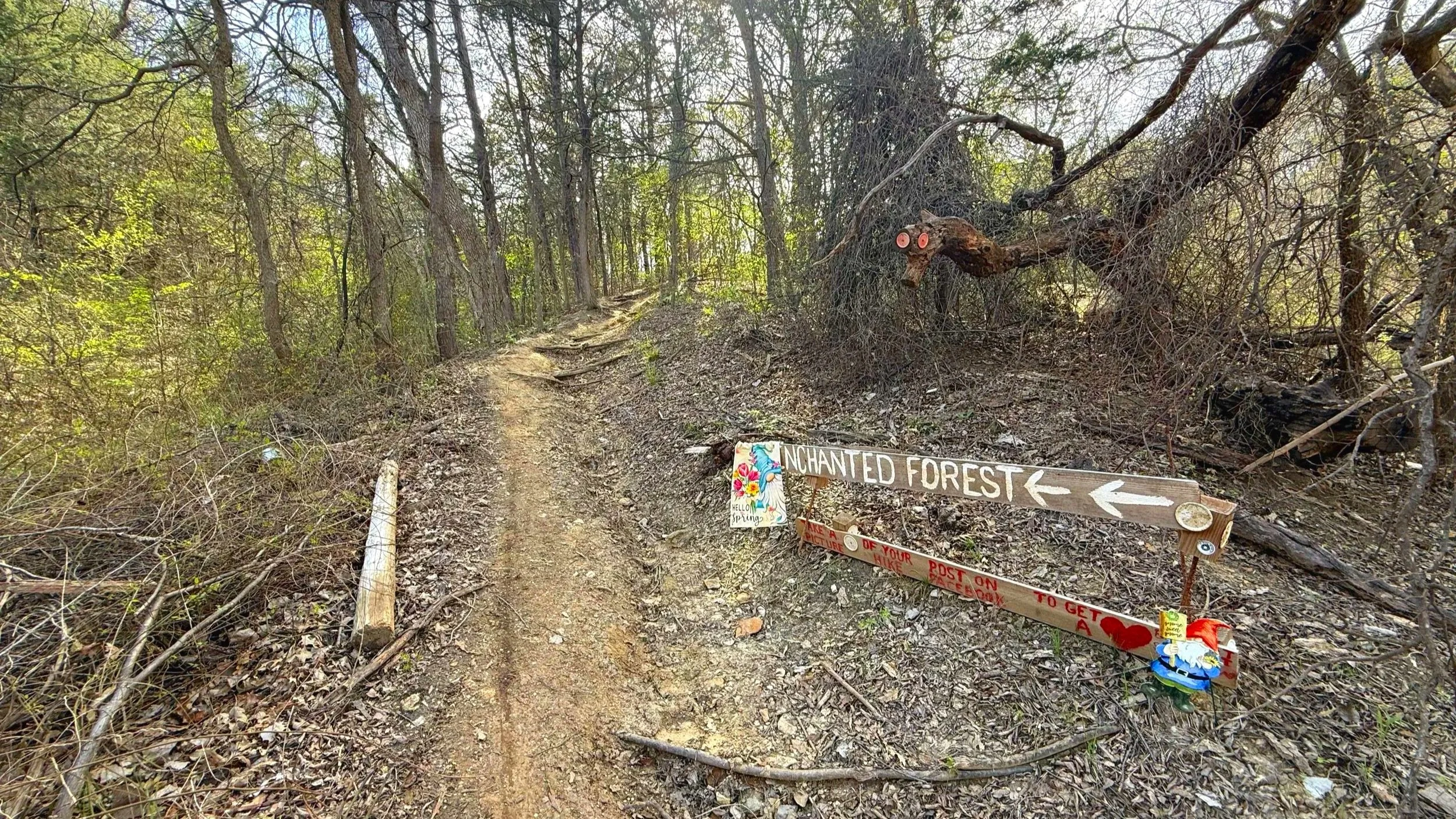 A fun hike with hikes leads to an enchanted forest in Texas