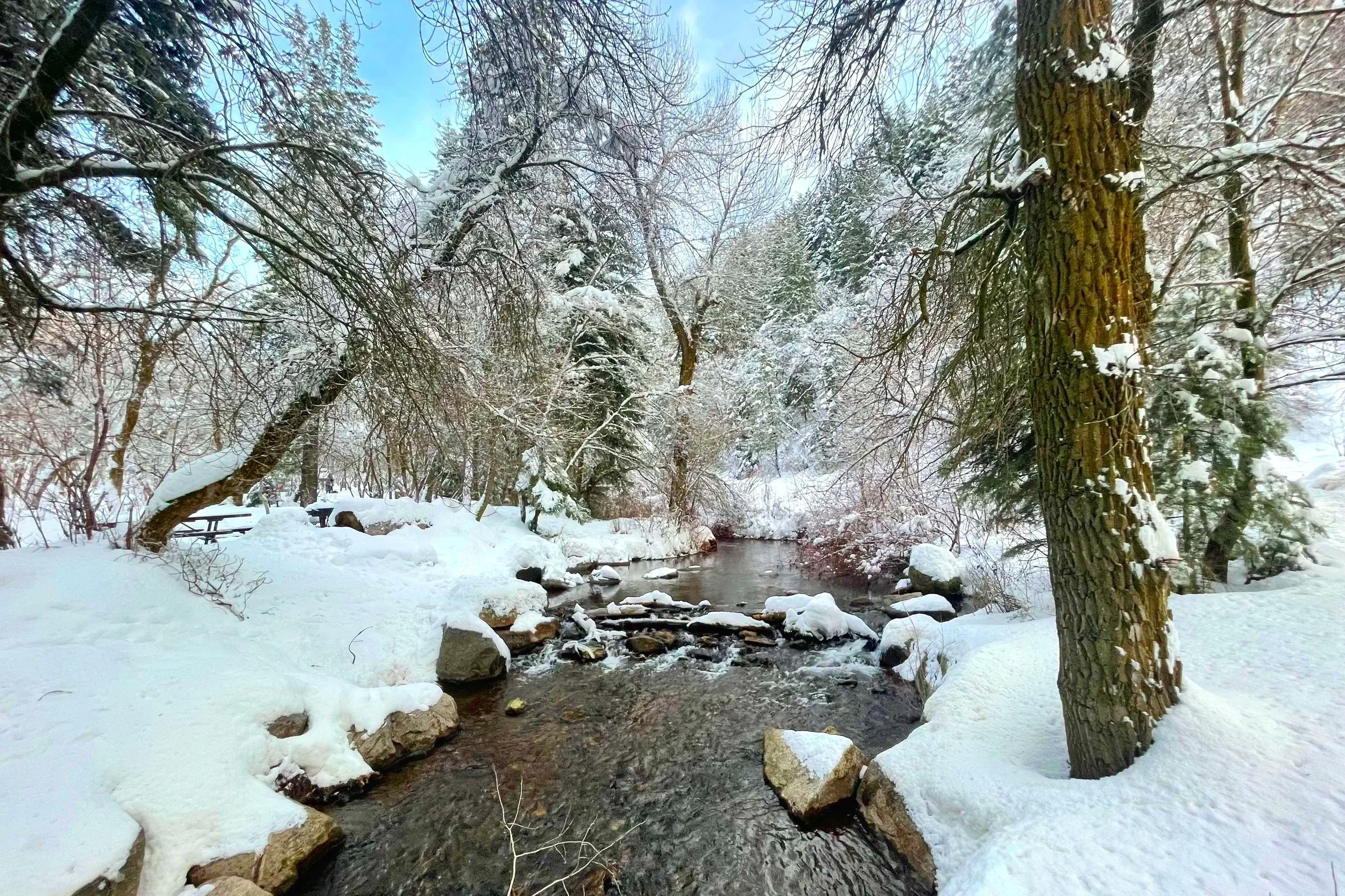 A river crosses a snowy forest during a spring hike.