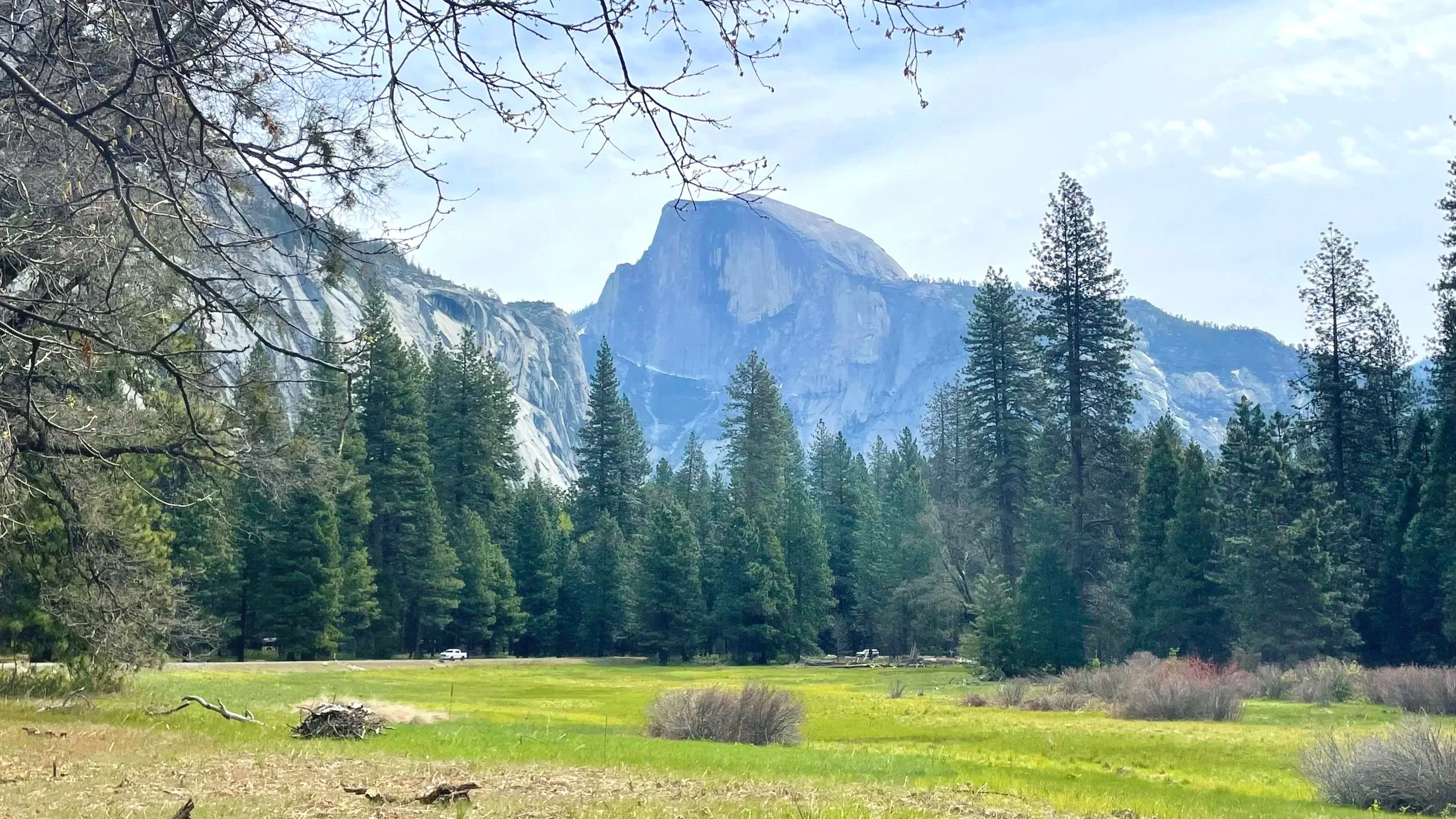View of Half Dome from a meadow in Yosemite Valley