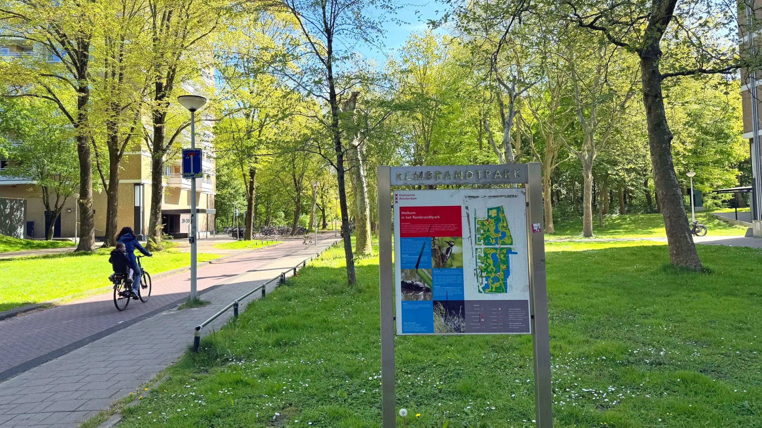A green park, Rembrandtpark, in Amsterdam