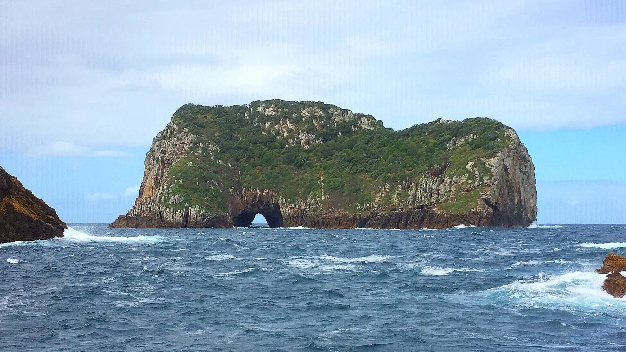 Poor Knight's Island diving in New Zealand's North Island