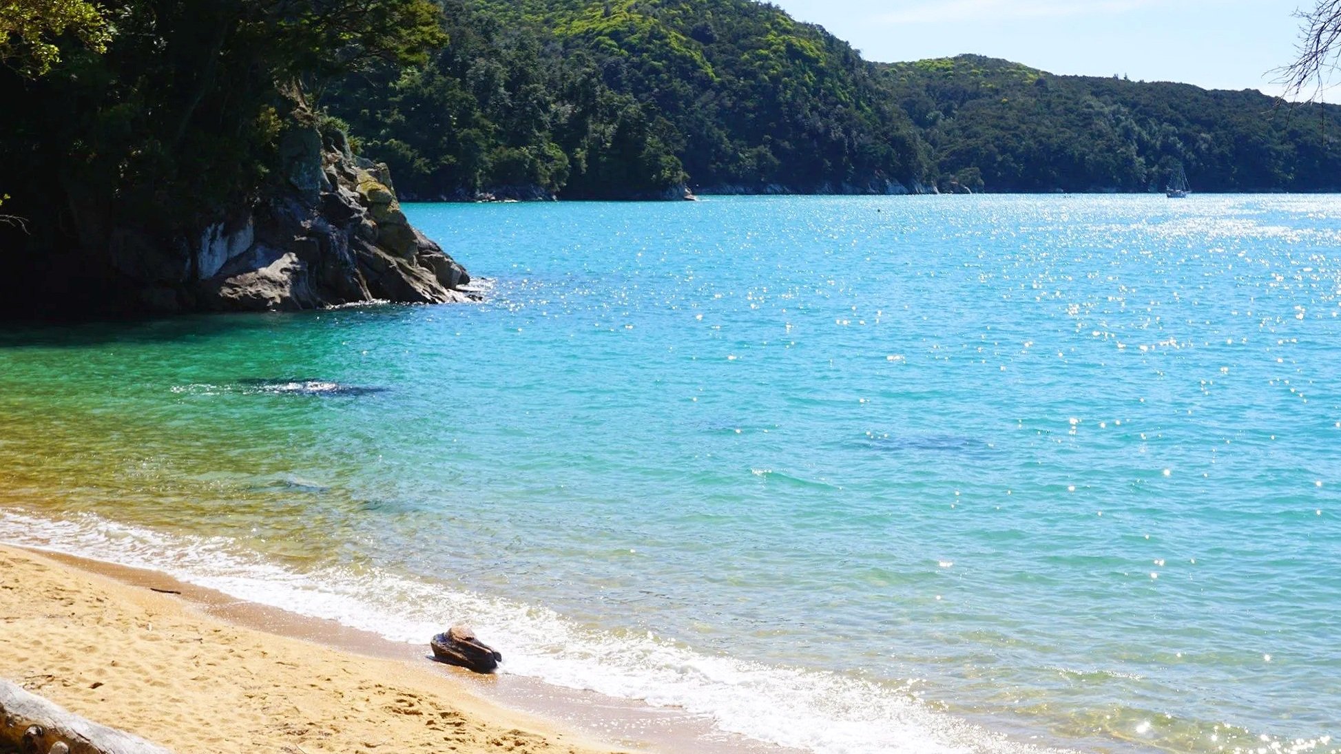 A beach in Abel Tasman National Park has gold sand and glistening water.