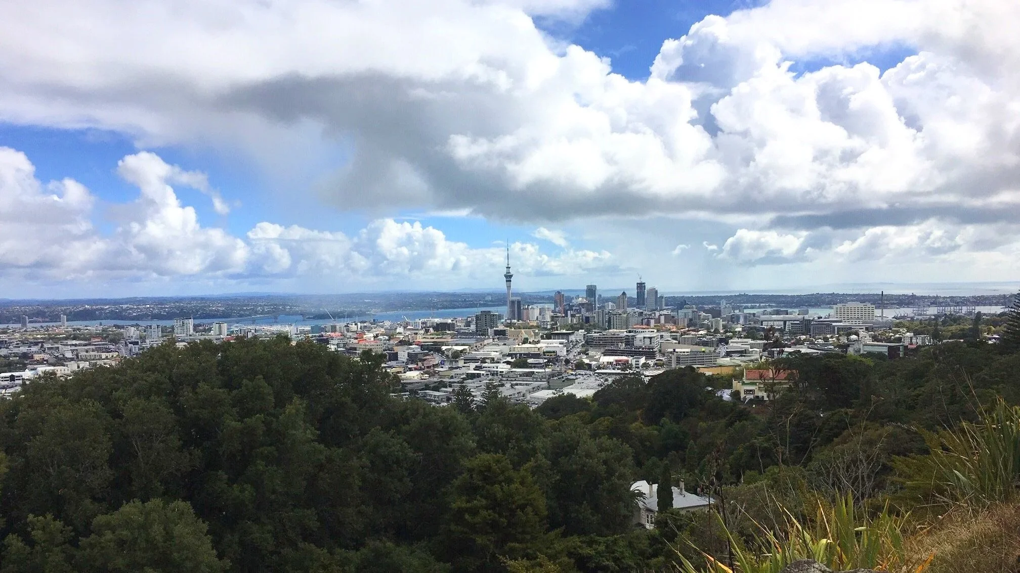 View of Auckland from Mount Eden shows the SkyTower, ocean, and skyscrapers