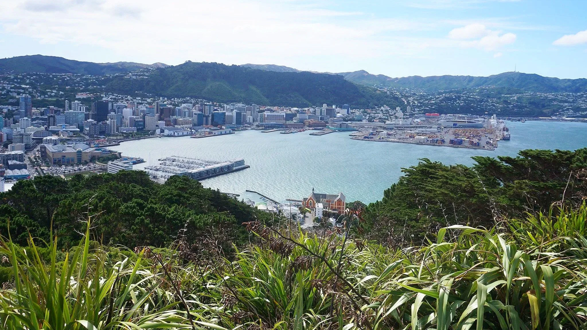A view of downtown Wellington and the waters it surrounds.