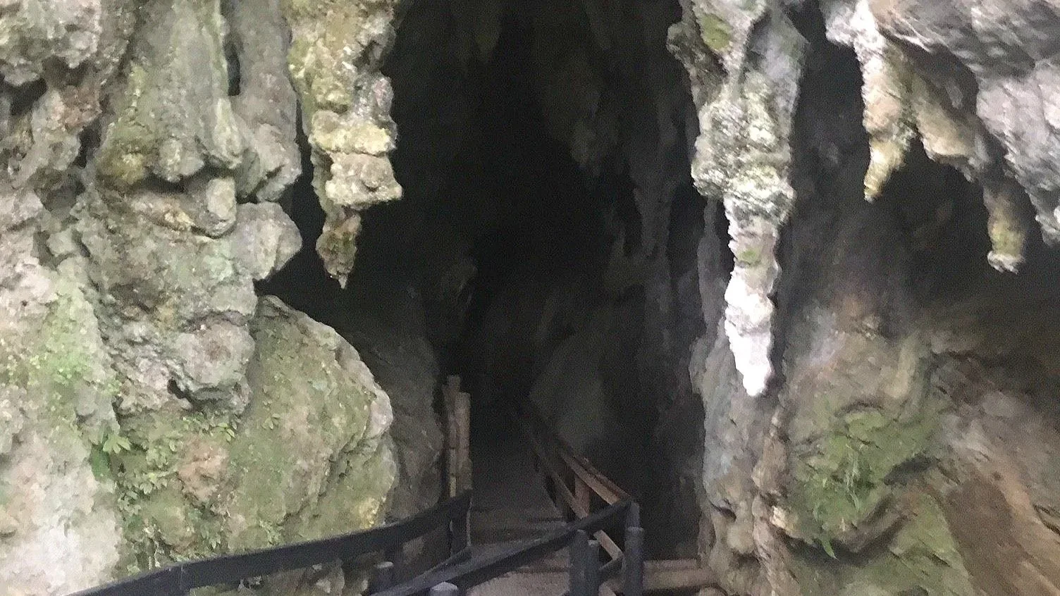 Kawiti Glowworm Cave in North Island, New Zealand