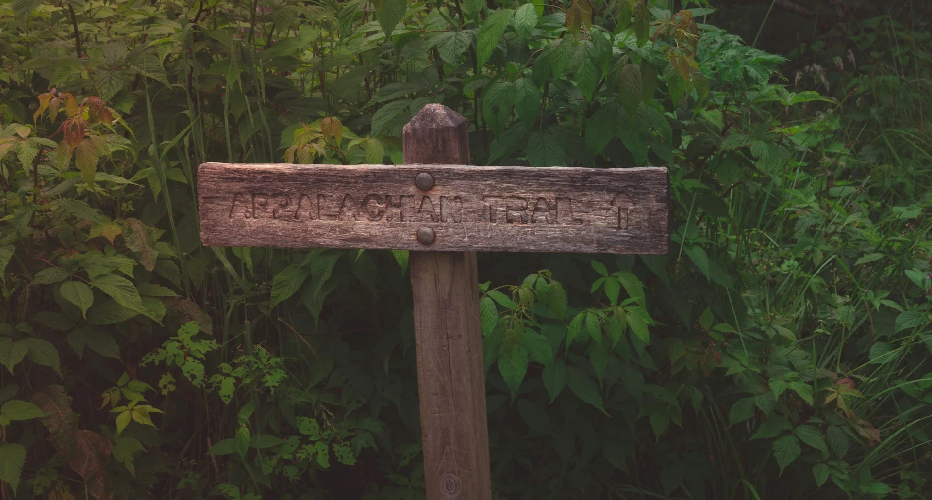 Appalachian Trail wooden sign
