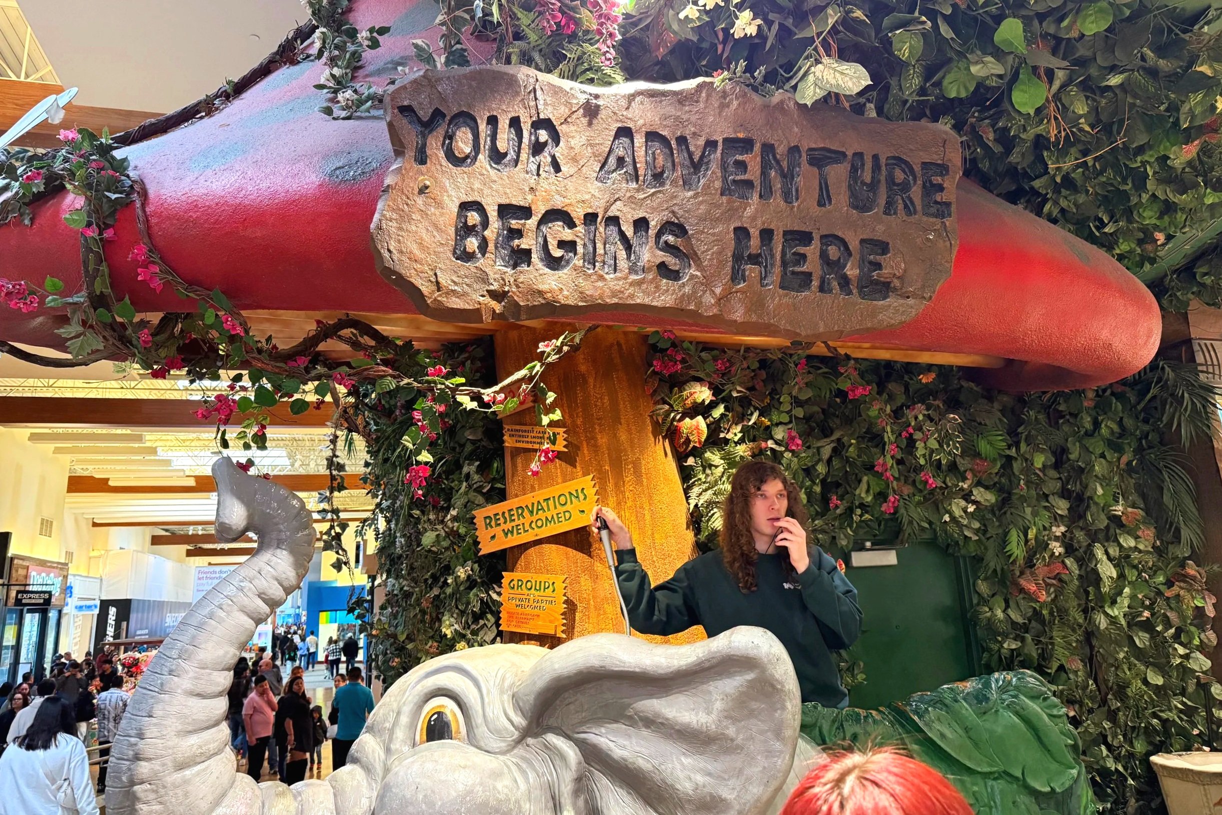 "Your adventure begins here" sign at the Rainforest Cafe in Grapevine, Texas.