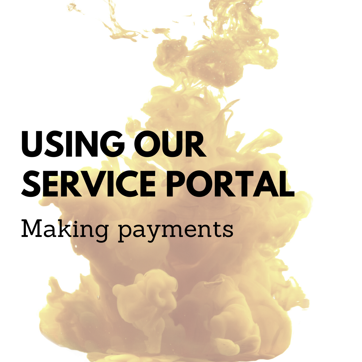 Using our online service portal: Make a payment