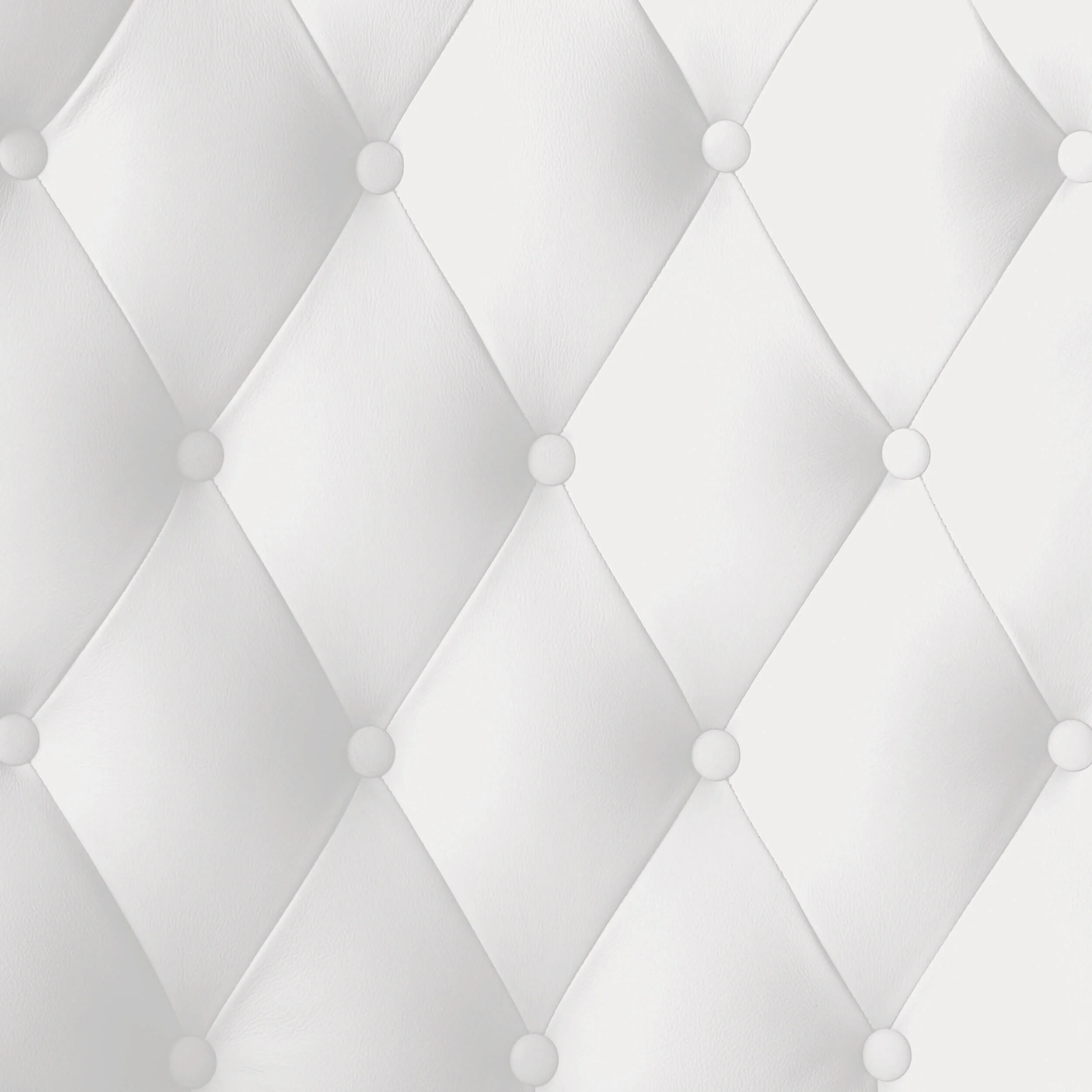 vdc-leather-background-white.jpg