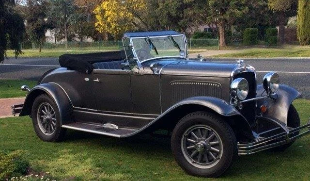 Ole65 at home among the trees.jpg