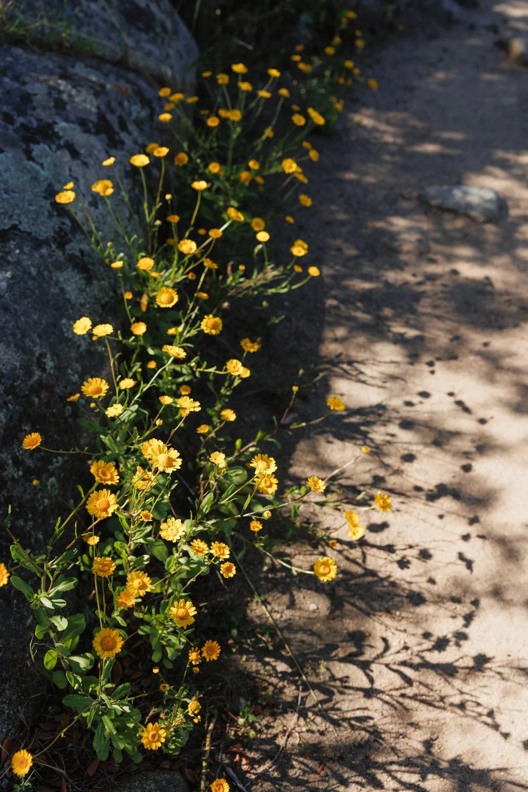 justinealmodovarphotography_laguardiawebsize-3963.jpg