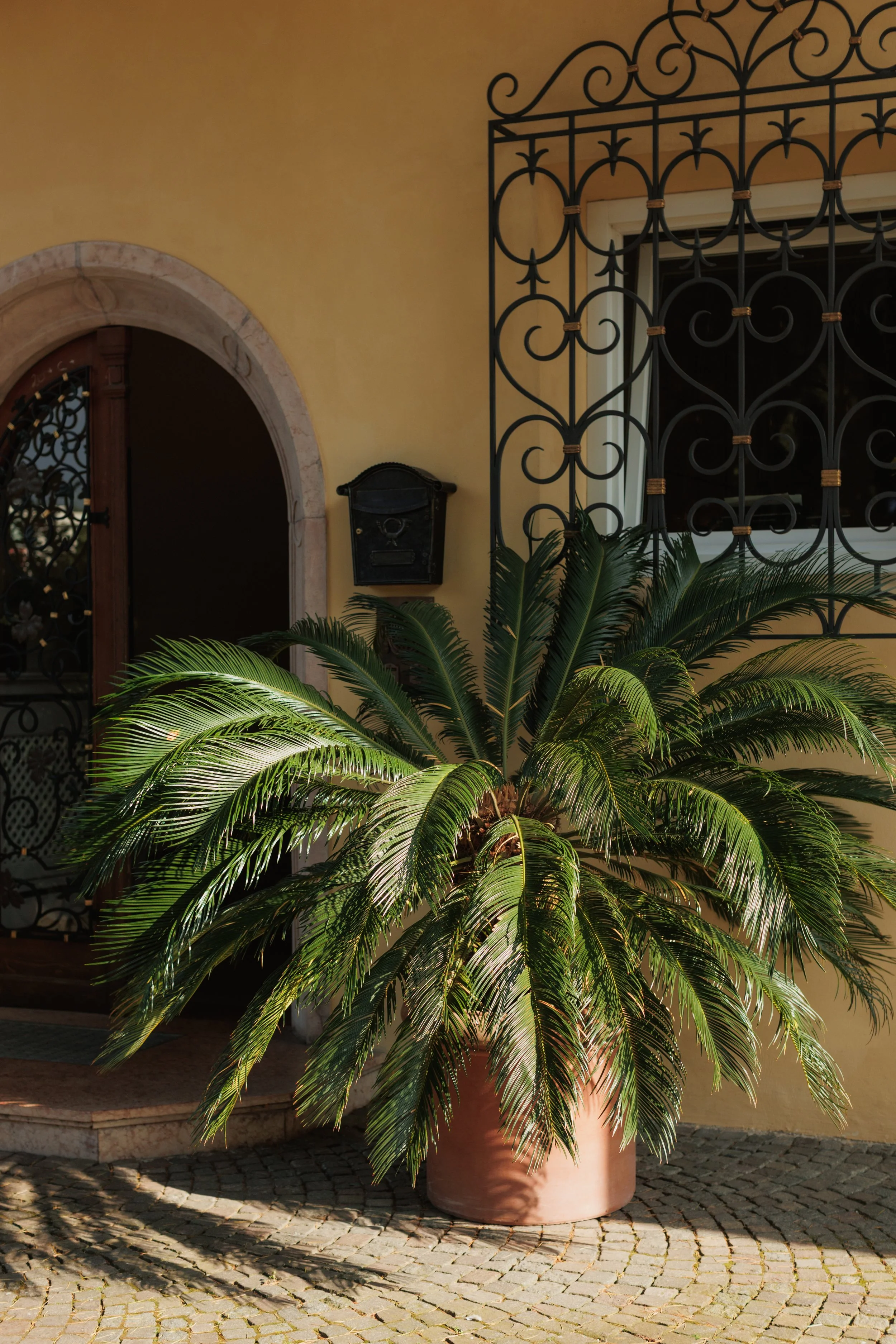 justinealmodovarphoto_villaarnica-7118.jpg