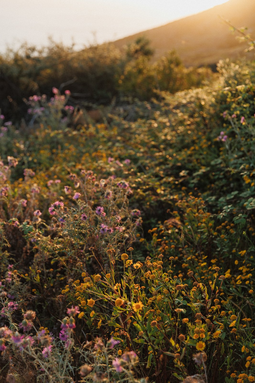 justinealmodovarphotography_laguardiawebsize-4462.jpg