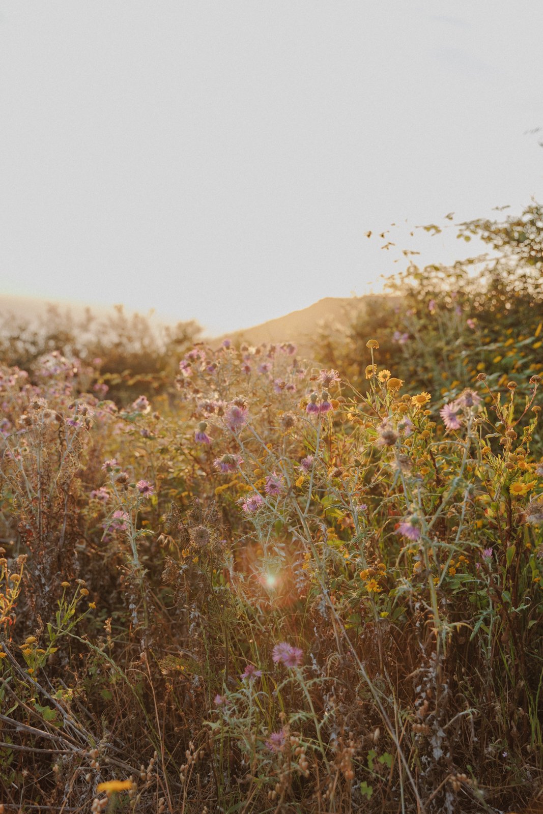 justinealmodovarphotography_laguardiawebsize-4460.jpg