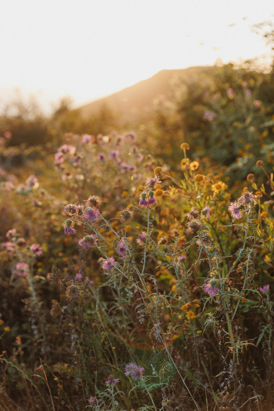 justinealmodovarphotography_laguardiawebsize-4461.jpg