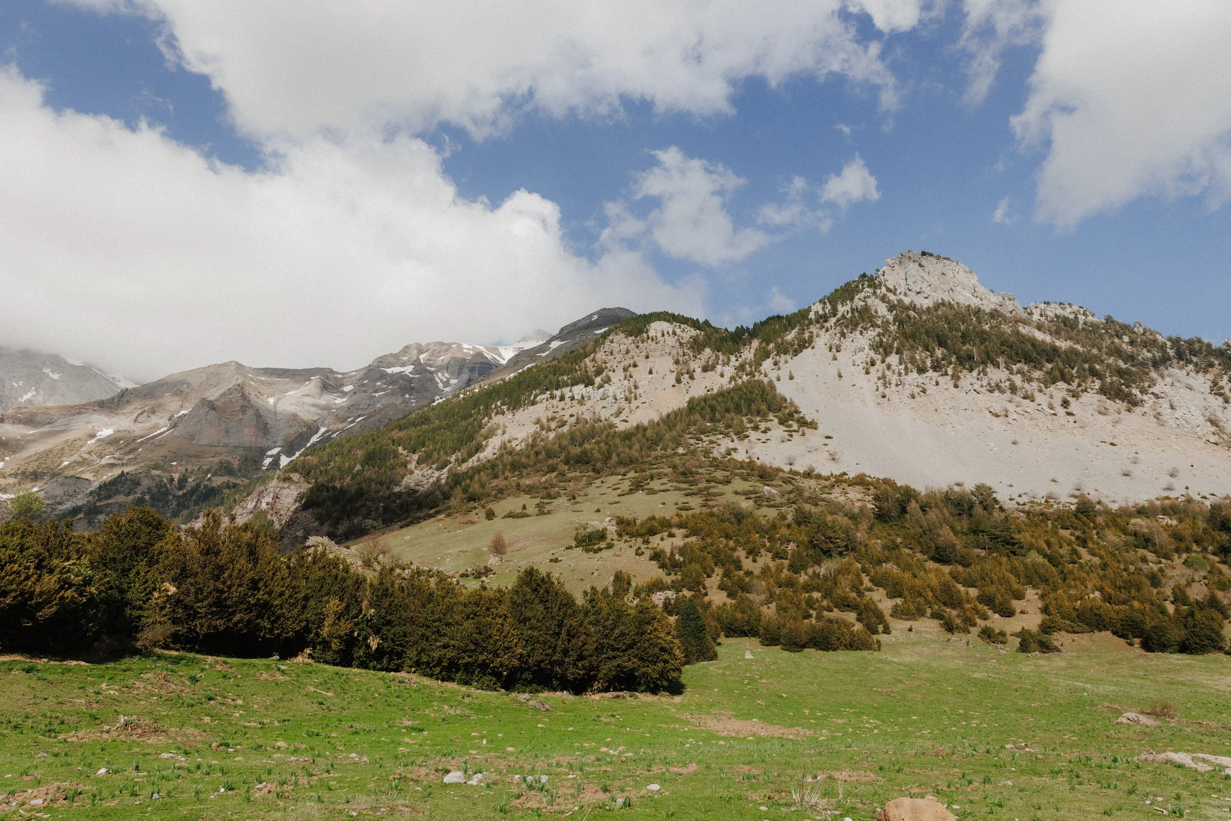 justinealmodovarphotography_badain_avril26-3540.jpg