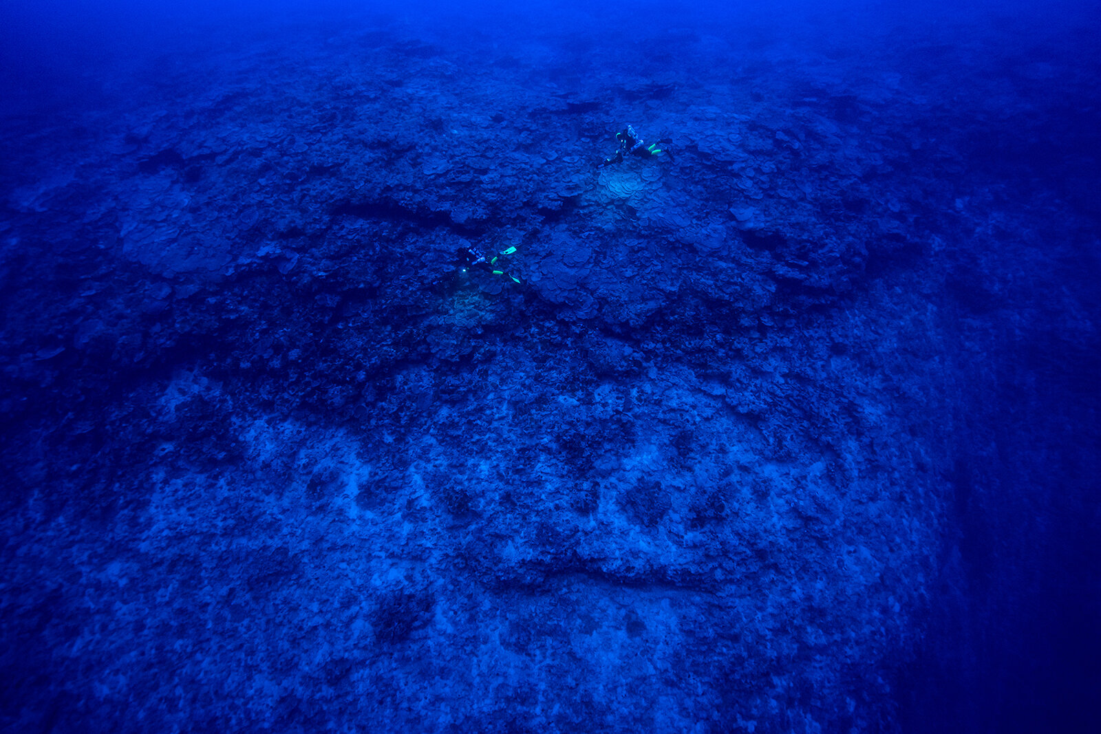 two deep divers in the twilight zone in Bora-Bora