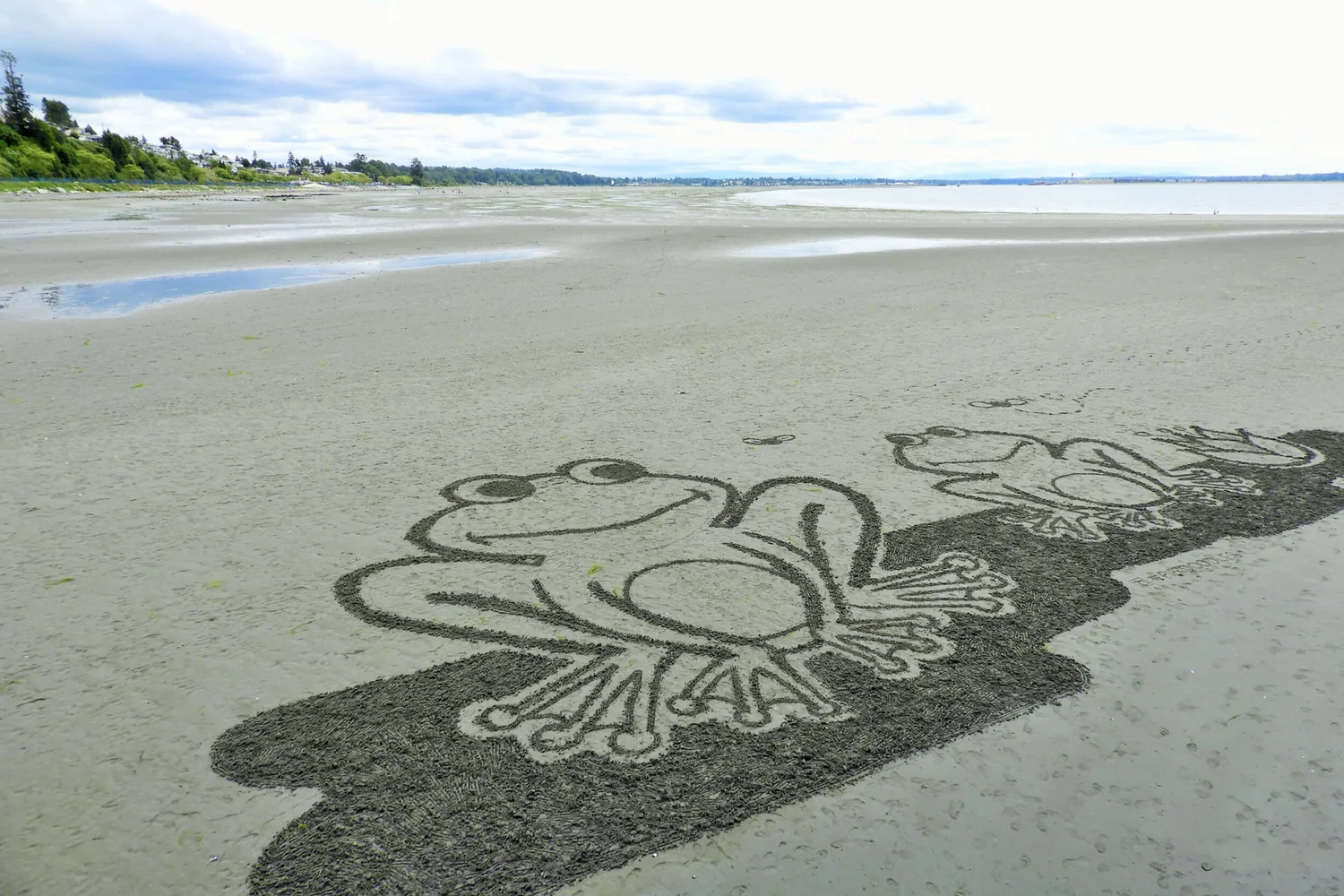 Pier Doodles are Back in White Rock