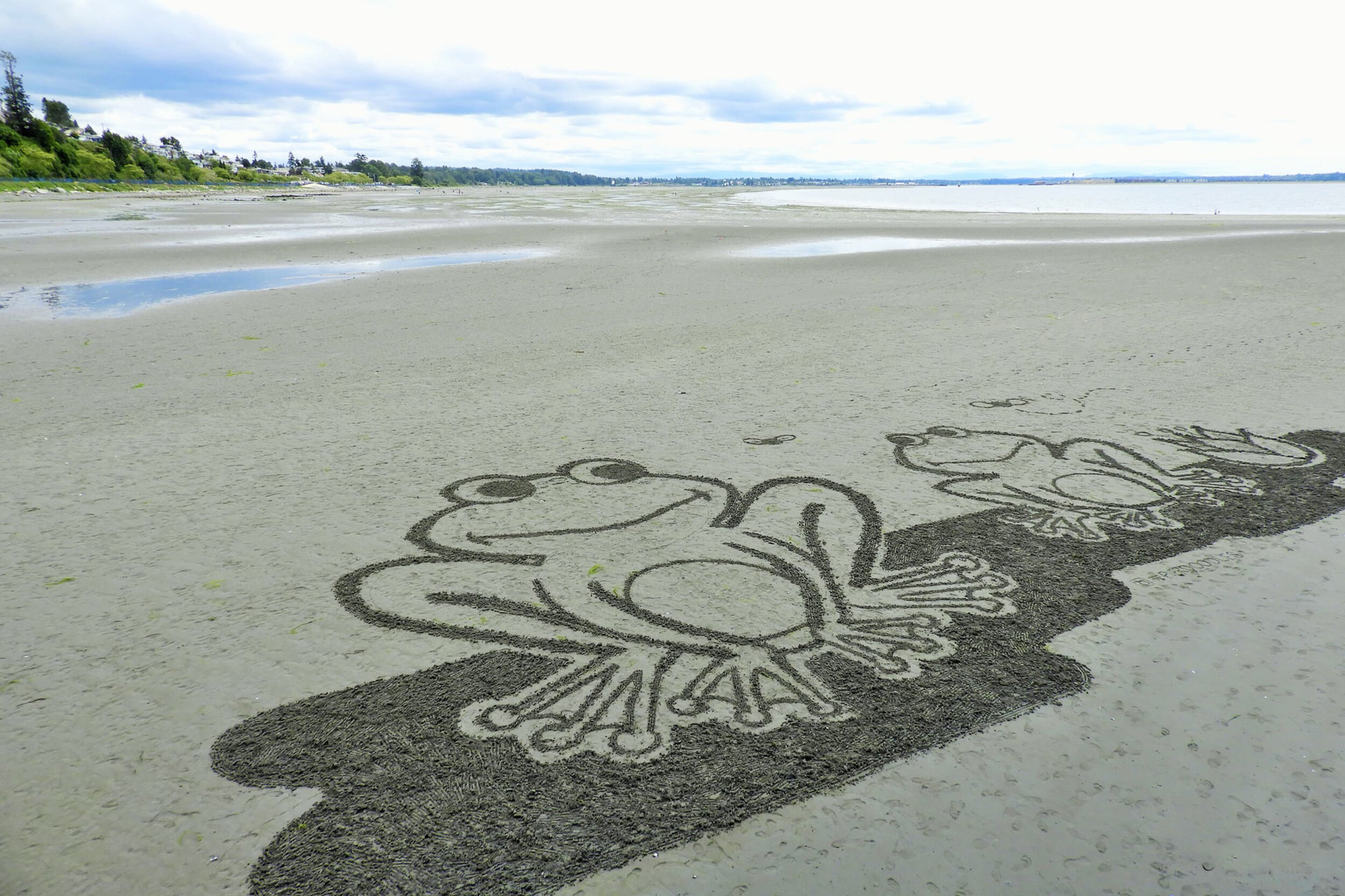 Pier Doodles are Back in White Rock