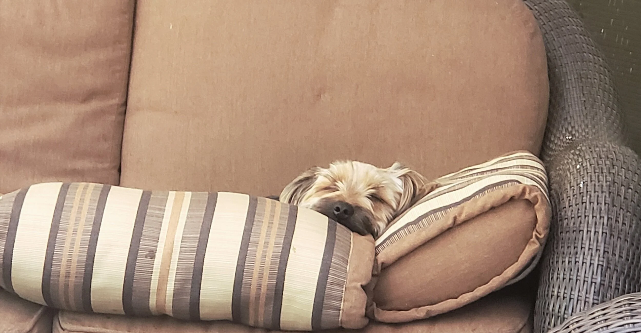 Summer Monday Mood
