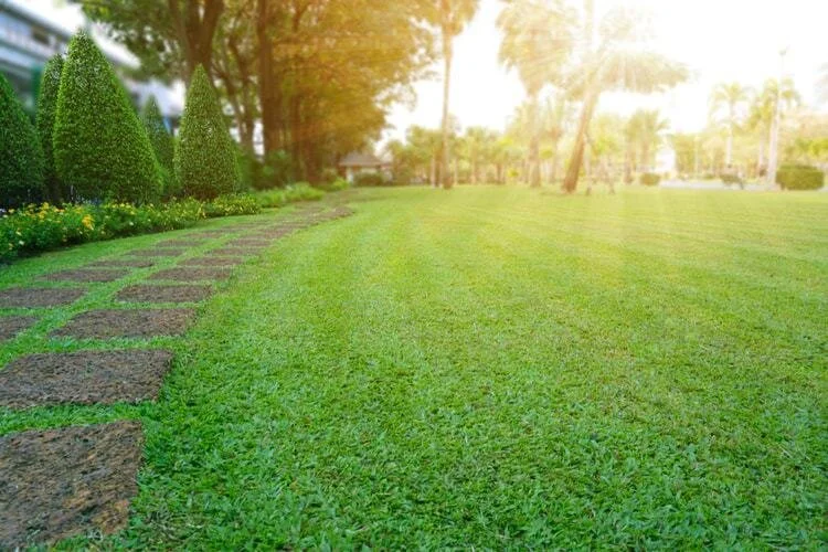 Fall Landscaping Tips: Aerate the Lawn and Feed the Grass