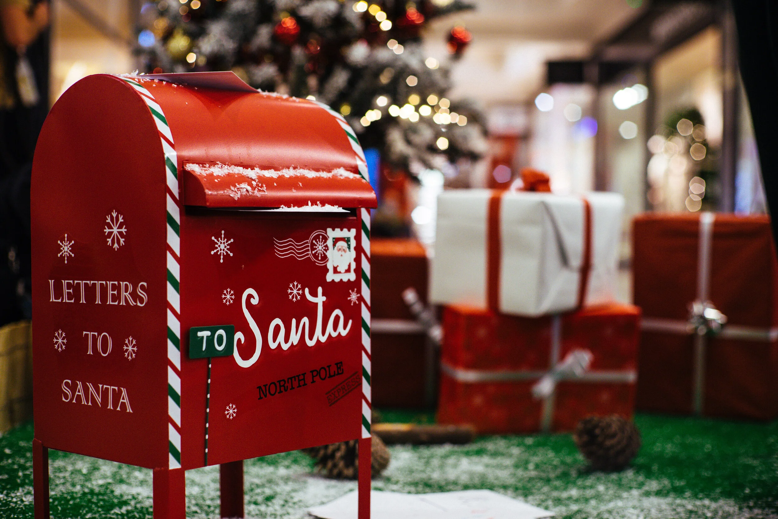 How to Make this Christmas Season Magical for Your Family