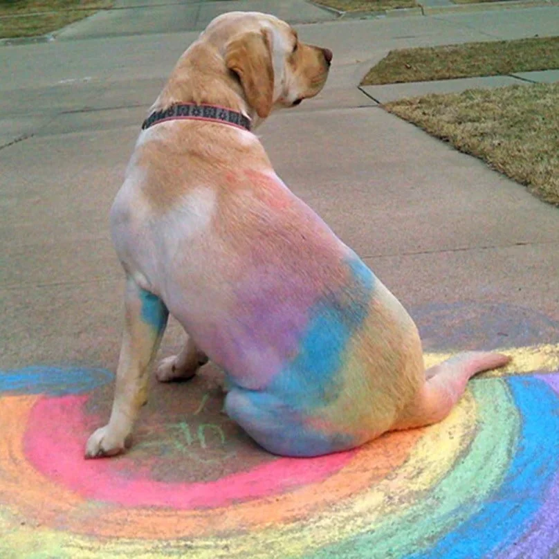 Funny Photo of the Week