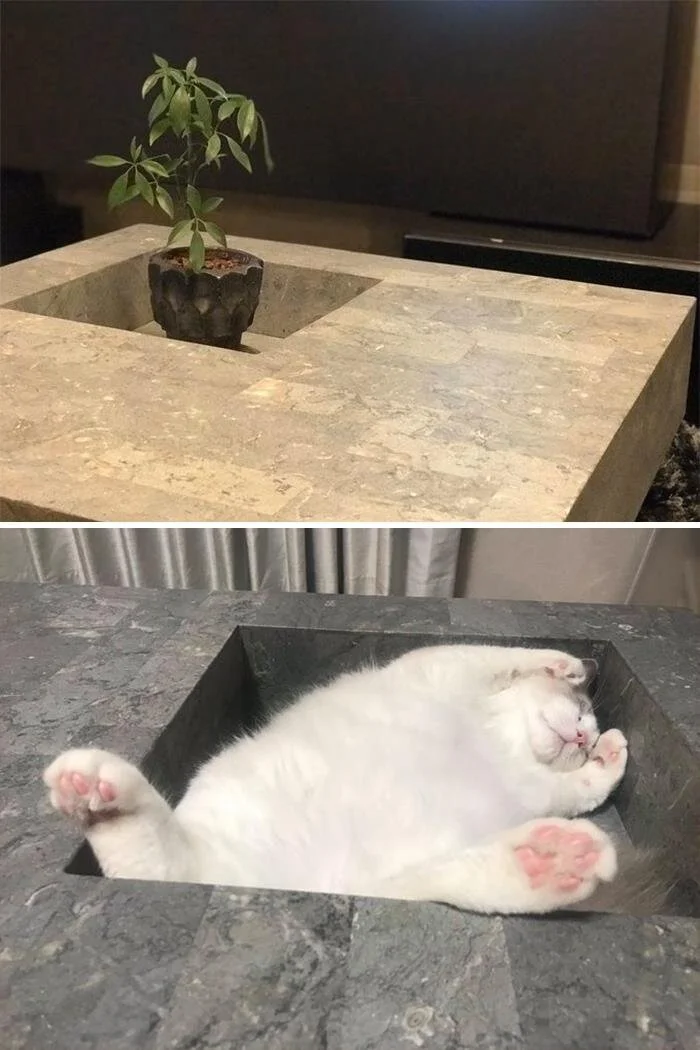 Funny Photo of the Week