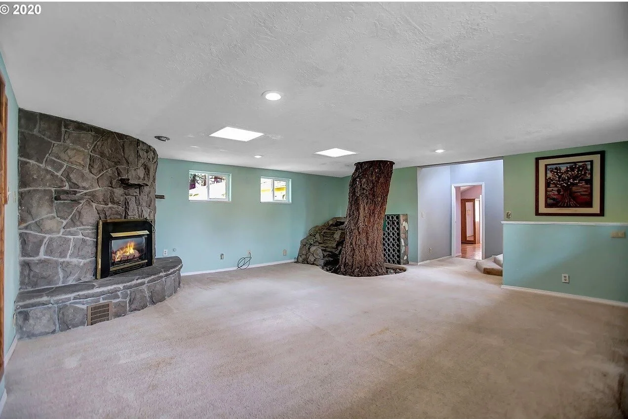 Terrible Real Estate Photo of the Week